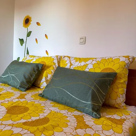 Neva Apartment Novigrad (Istria)