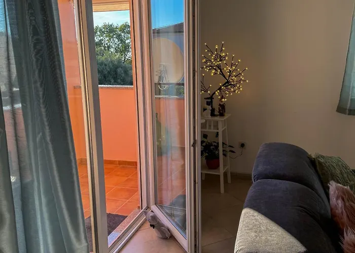 Neva * Novigrad (Istria)